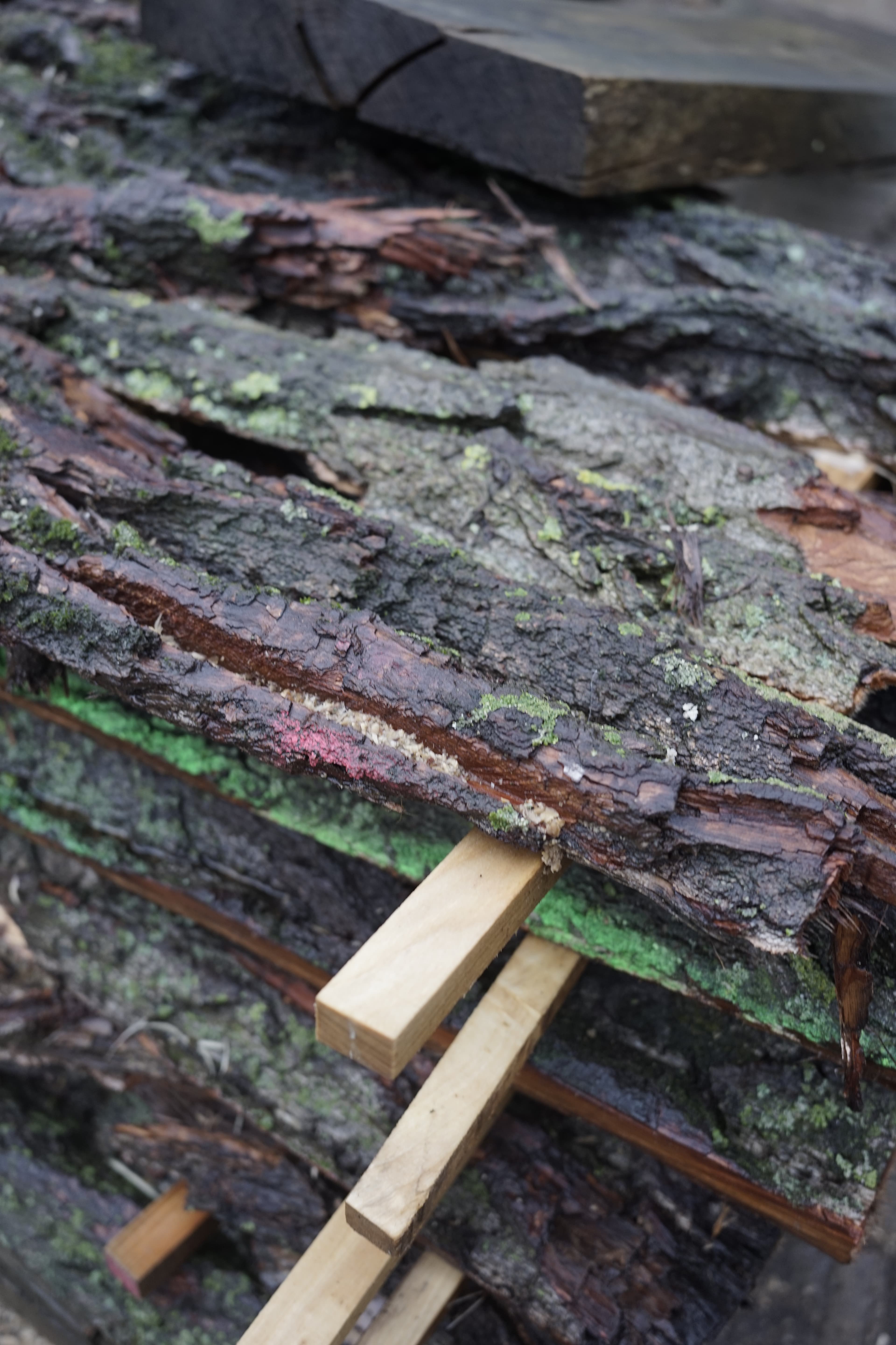 Layers of bark stacked upon eachother with small wood planks inbetween.